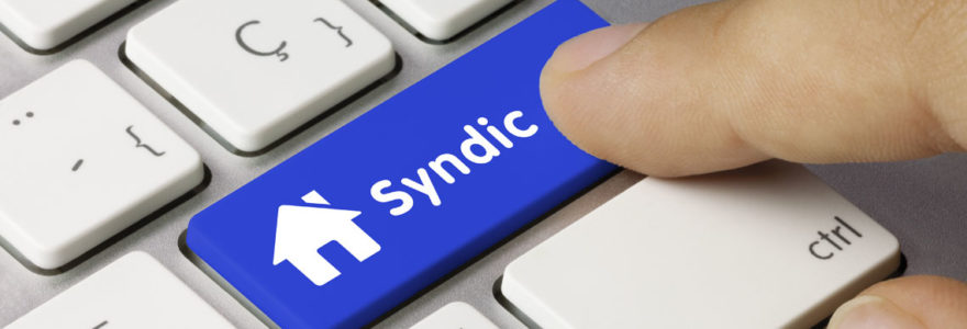 syndic